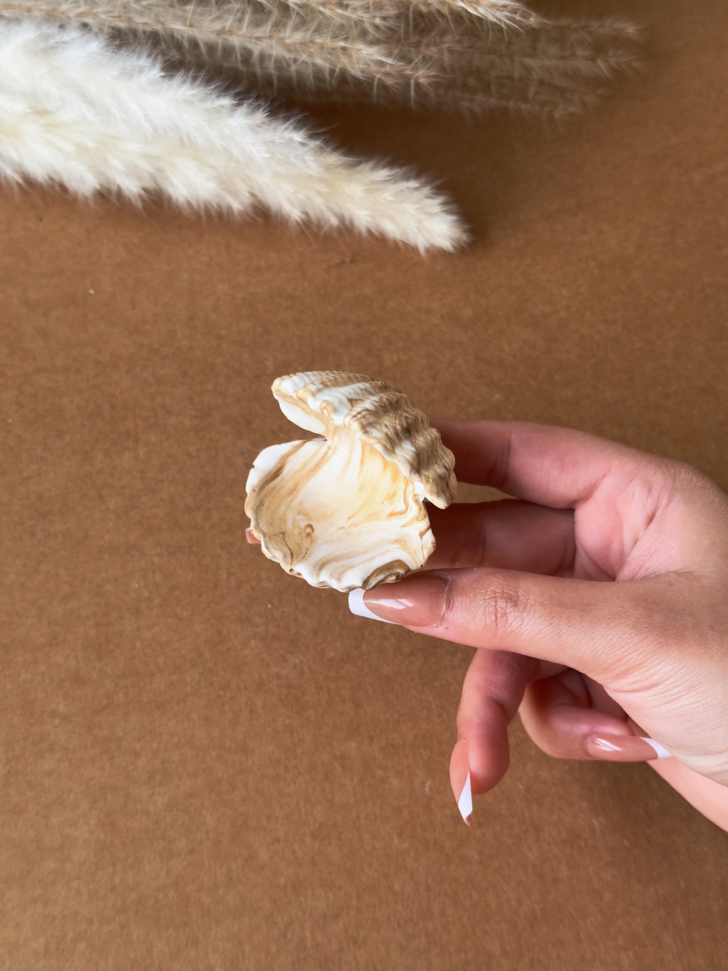 Sea Shell Ring Holder