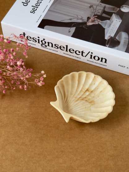 Shell Tinkle Tray